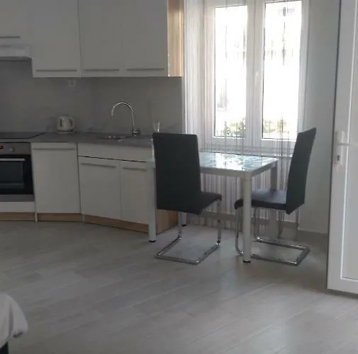 아파트 Studio 노비비노돌스키